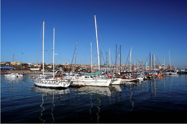 Yachts at Port Elizabeth Harbour