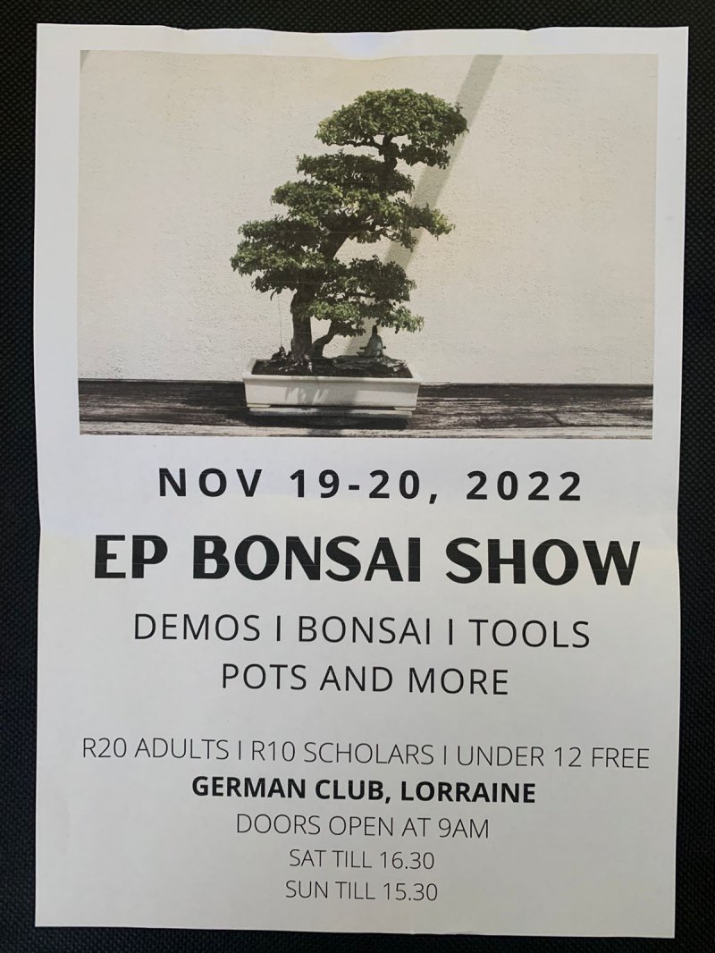 Annual Bonsai Show