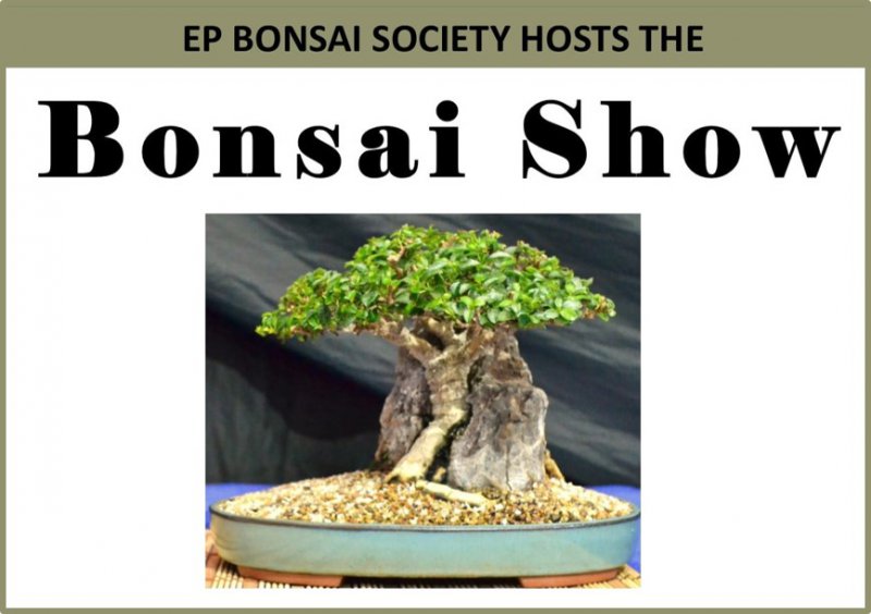 Annual Bonsai Show - 23 & 24 November 2024.