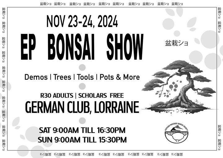 Annual Bonsai Show - 23 & 24 November 2024