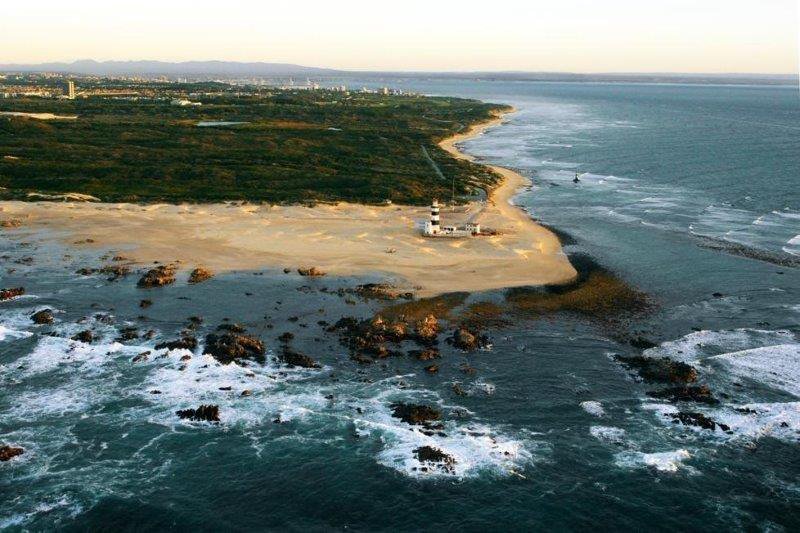 BIG ATTRACTION: CAPE RECIFE AND GRYSBOK NATURE RESERVE TOUR