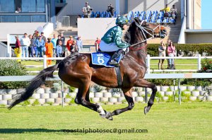 Fairview Racecourse Horseracing