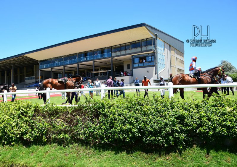 Fairview Race Course - Horseracing 