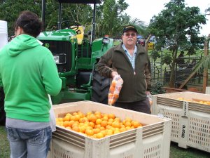 Gamtoos Tourism Citrus Festival