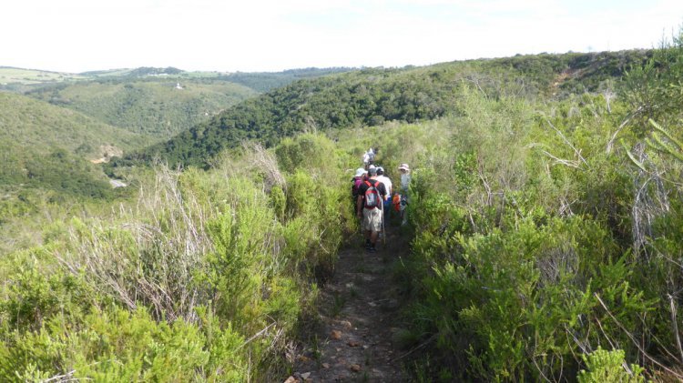 Guided Hiking Trail - Van Stadens Nature Reserve.