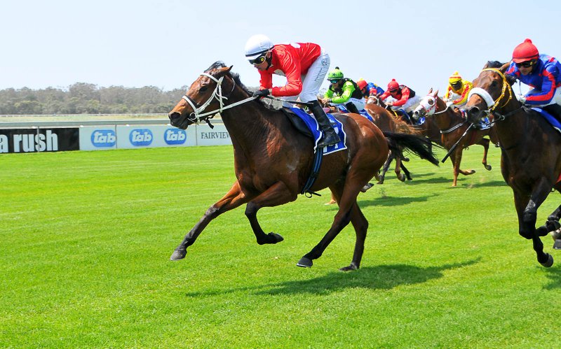 Horseracing - Fairview Racecourse