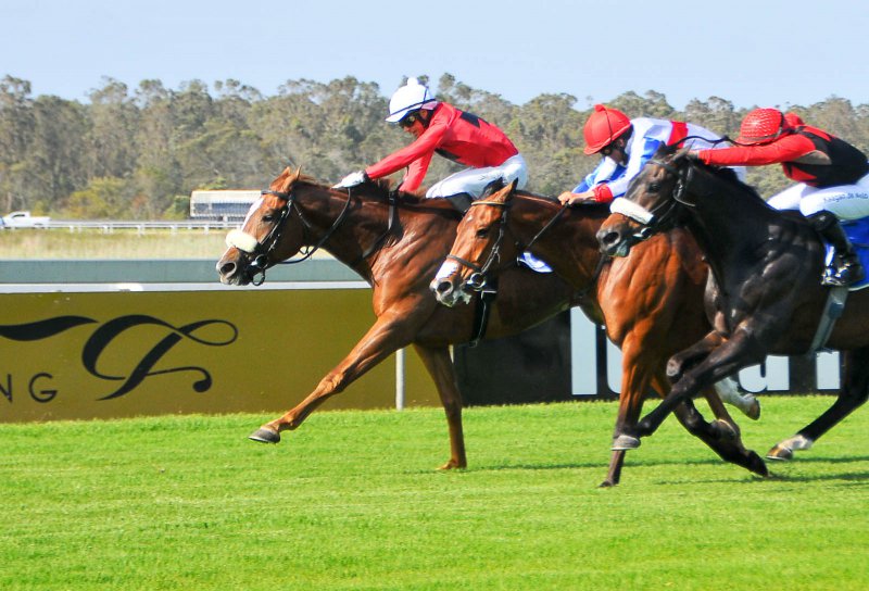 Horseracing - Fairview Racecourse