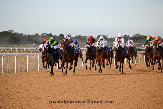 Horseracing - Fairview Racecourse