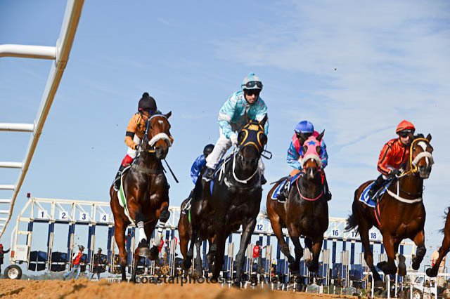 Horseracing - Fairview Racecourse