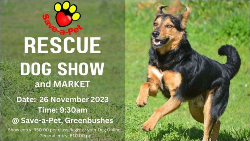 Save-a-Pet Rescue Dog show and Market