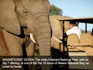 Seventh Heaven at Addo Elephant National Park