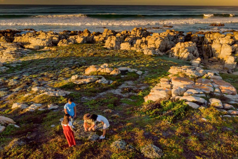 Unlocking Nature's Treasures: Nelson Mandela Bay's Green Flag Hiking Trails