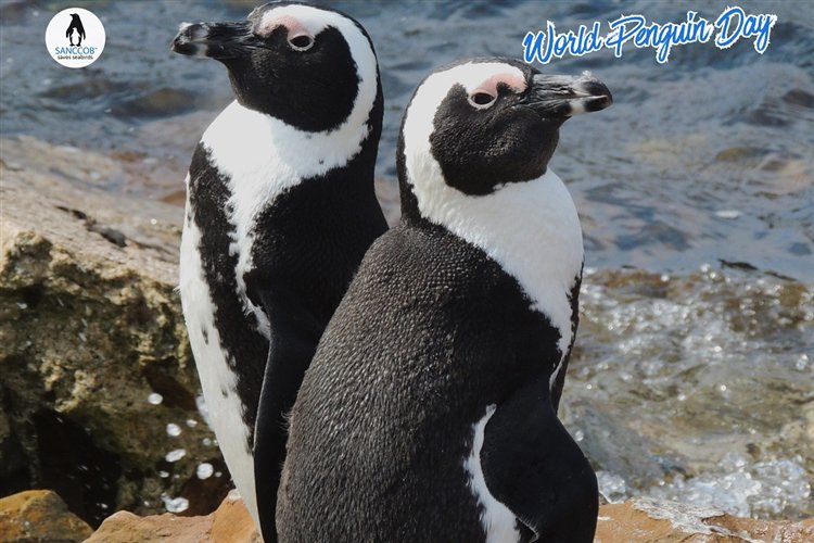 World Penguin Day Scavenger Hunt